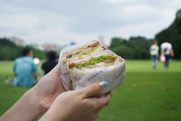 Quels sont les meilleurs sandwichs à emporter pour un pique-nique ?