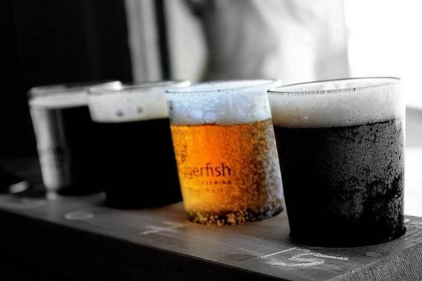 Quels sont les différents types de bières et comment les déguster ?